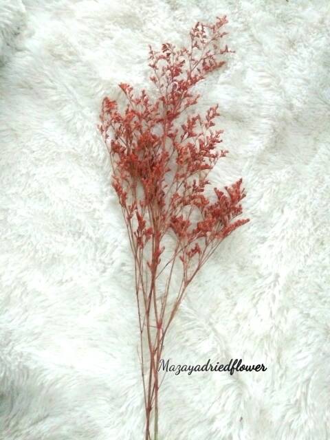 Dried Flower Rustic Caspia Bunga Kering Lovergrass | Props Foto wedding | Caspea