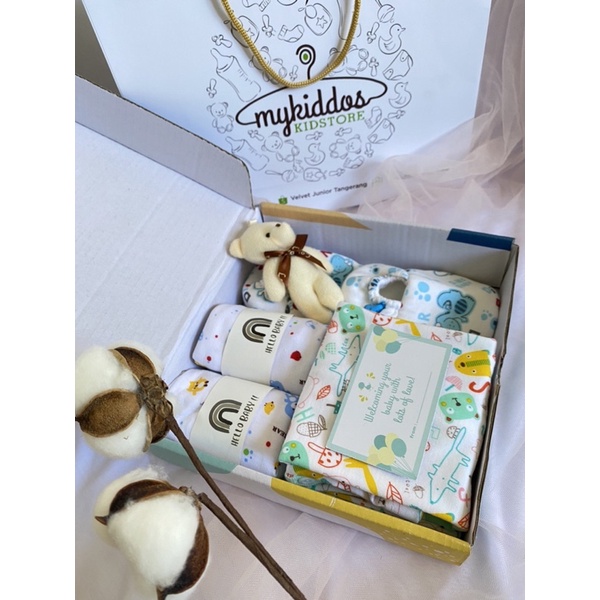 Gift set paket kado setelan bayi Kualitas SNI untuk baju bayi cewek dan cowok