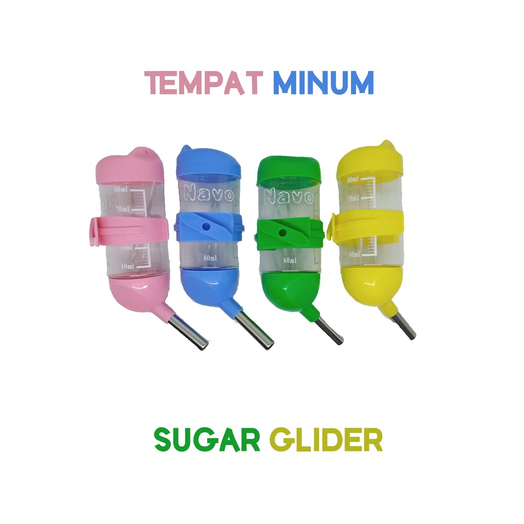 Jual Tempat Minum Sugar Glider Multi Ukuran Indonesia