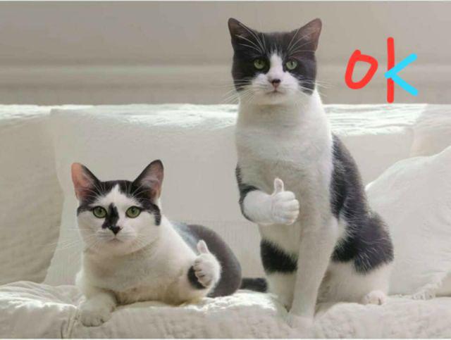 Maura Couple - Sania Ruffle Batik Couple Ori Ndoro Jowi Dnt Garansi Termurah Shopee - Shopashop Solo