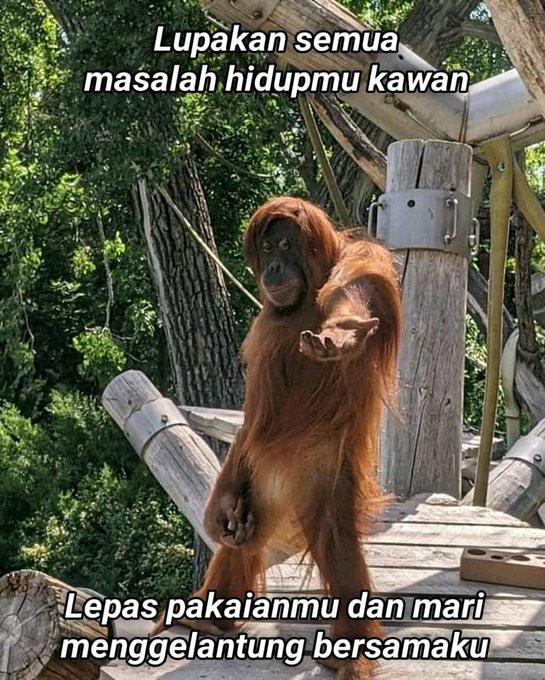 Hogasan ( Pembasmi Serangga ) Exp.07.2024