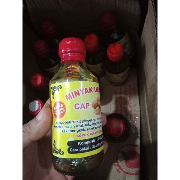 Minyak Urut Pala Cap Rumah Banjar Asli Kalimantan Herbal Obat Sakit Pinggang/keseleo/pegal linu Asli