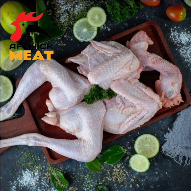 

AYAM JANTAN (Pejantan)