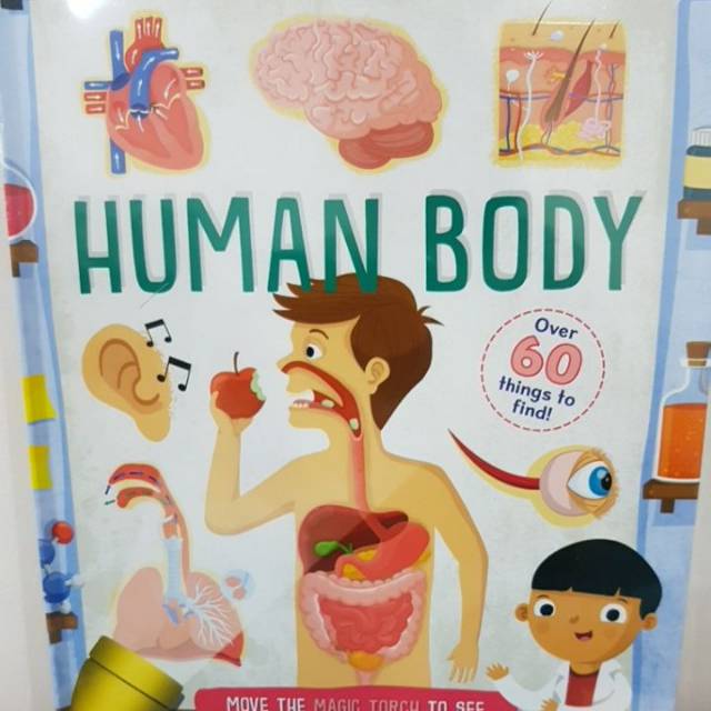 Human Body