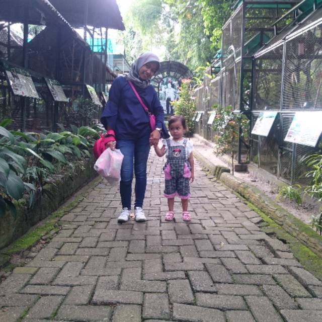 quinpratiwi