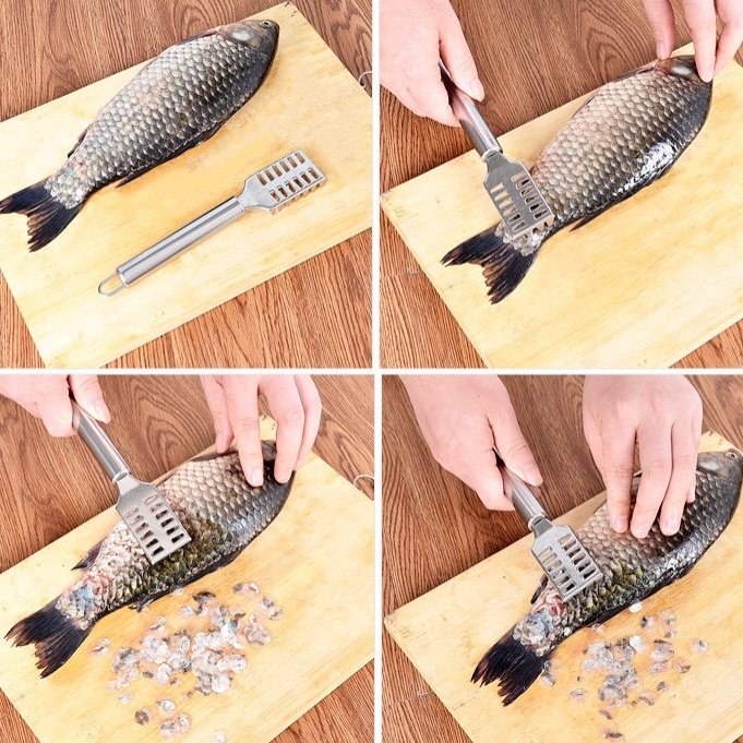 ALAT PEMBERSIH PENGUPAS SISIK IKAN STAINLESS PEELER/ PENGEROK SISIK/ FISH SCALE SKIN REMOVER