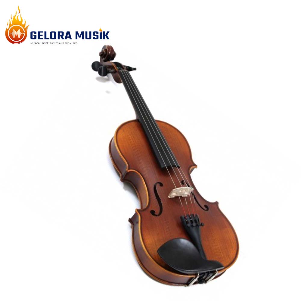 Biola Outfit Allegretto Dark Brown Hofner H5D-V4/4-0