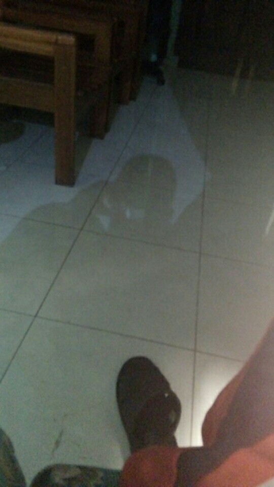 Vijay #2 Kemeja Batik Pria Pendek Full Furing By Rajasakti