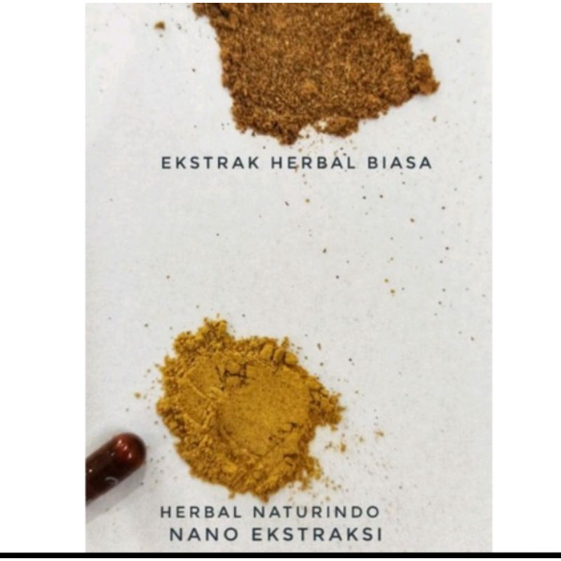 Obat herbal ampuh pengencer darah obat herbal ampuh melancarkan peredaran darah obat herbal ampuh penyumbatan obat herbal ampuh kesemutan dan kebas obat herbal alami penyumbatan asli tumbuhan BV-FLOW NATURINDO-5