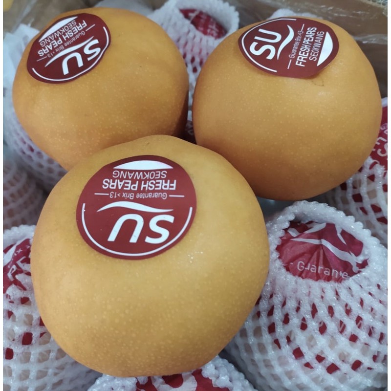 

Pear Korea Asli