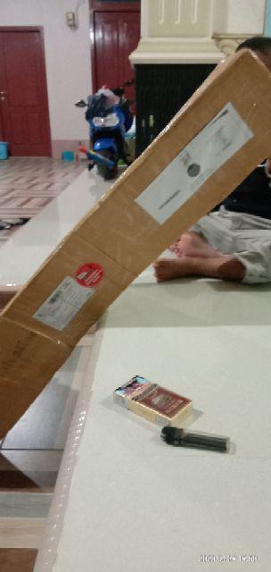 New Produck!! Pohon Kurma Azwa Jantan Dan Betina - Kl 1