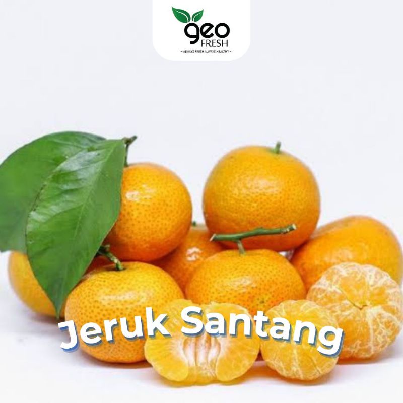 

Jeruk Santang