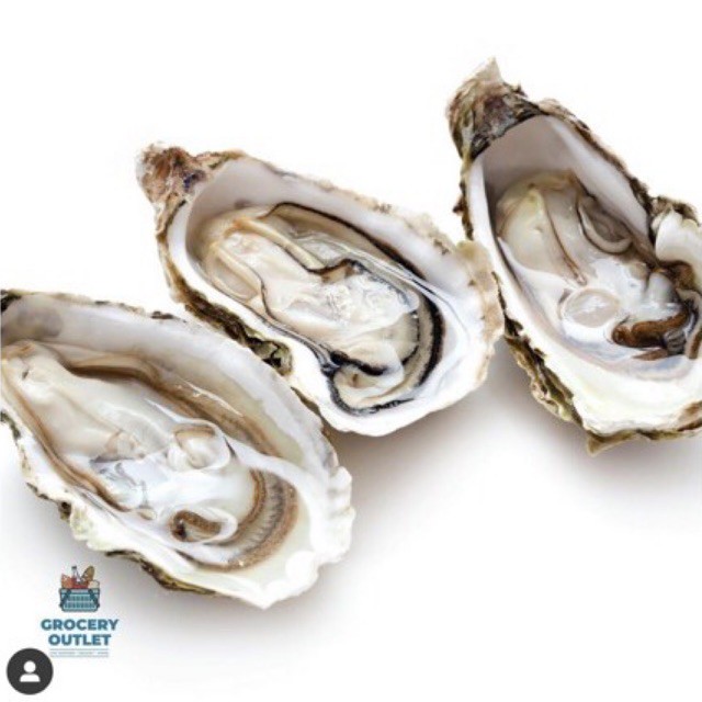 

Oyster