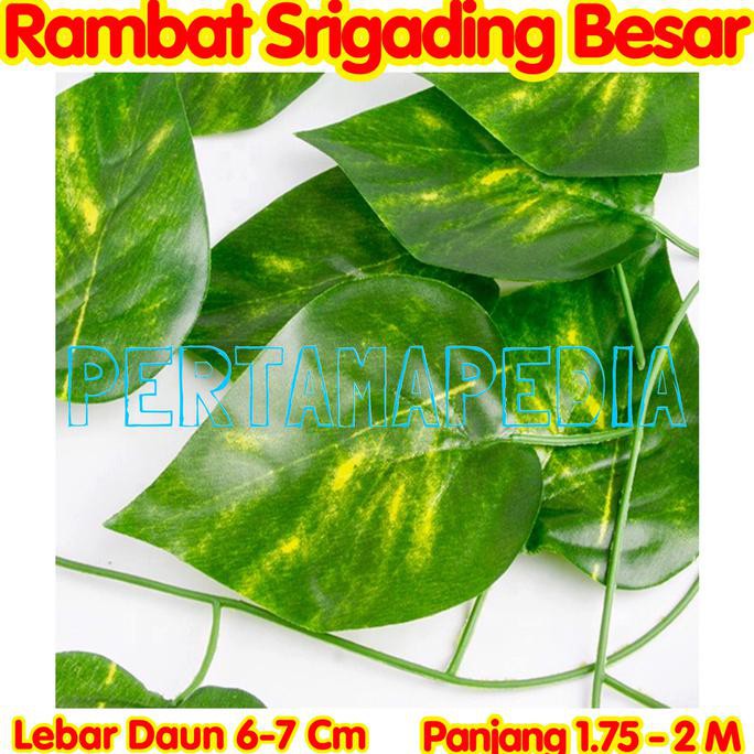 Daun Rambat Plastik/ Daun Rambat Palsu / Daun Rambat Sintetis