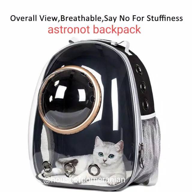 Pet carrier tas ransel jinjing anjing kucing dog cat kennel box travel portable tranparan0