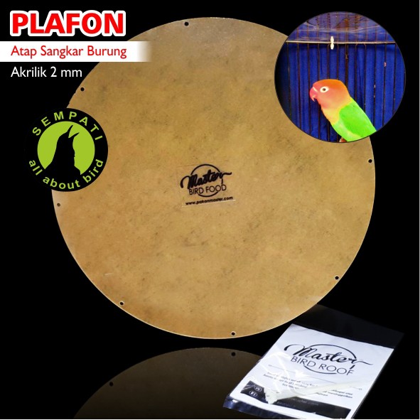  Gambar Burung Di Plafon 