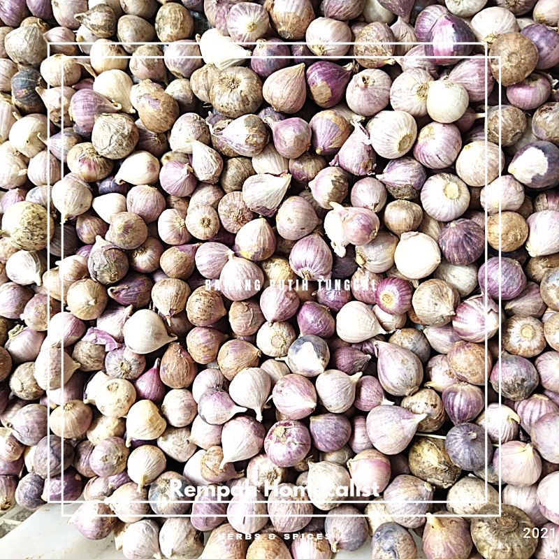 BAWANG PUTIH TUNGGAL 100GR BAWANG LANANG