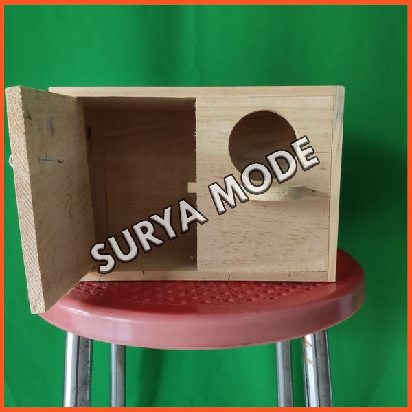 glodok burung love bird glodok lovebird minimalis