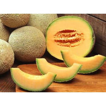 

Order Biji Benih Melon Jingga Super Ayo Order