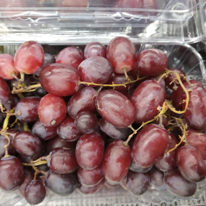

Anggur Red Candy super manis 1 kg