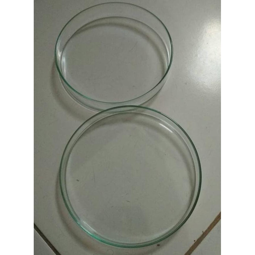 Best Seller Petridish Anumbra 150x25 mm - Cawan petridish kaca Anumbra Terlaris