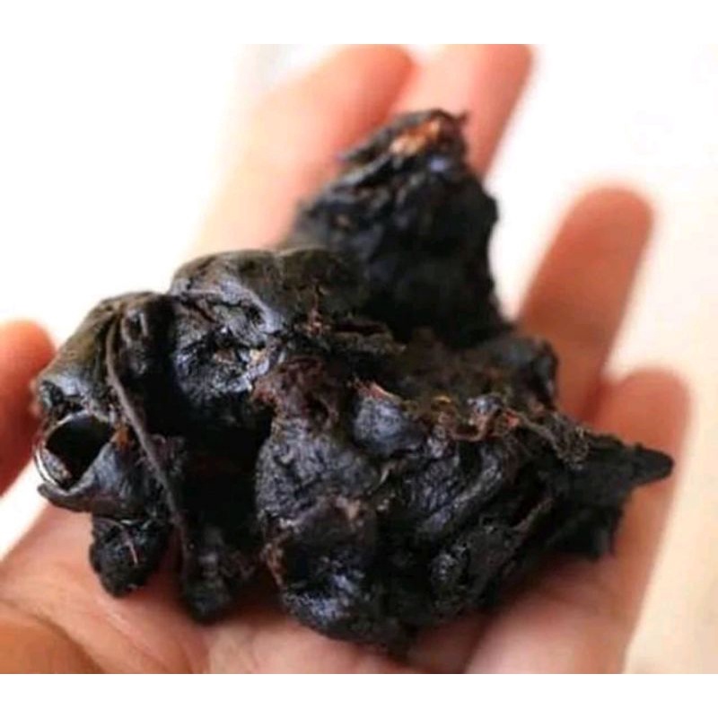 

ASEM JAWA/ TANPA BIJI PREMIUM QUALITY/ASEM JAWA TIDAK ADA BIJI / ASEM DAGING