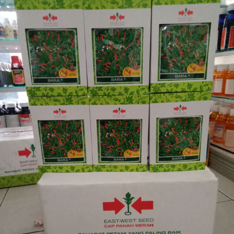 Benih cabe rawit BARA cap panah merah