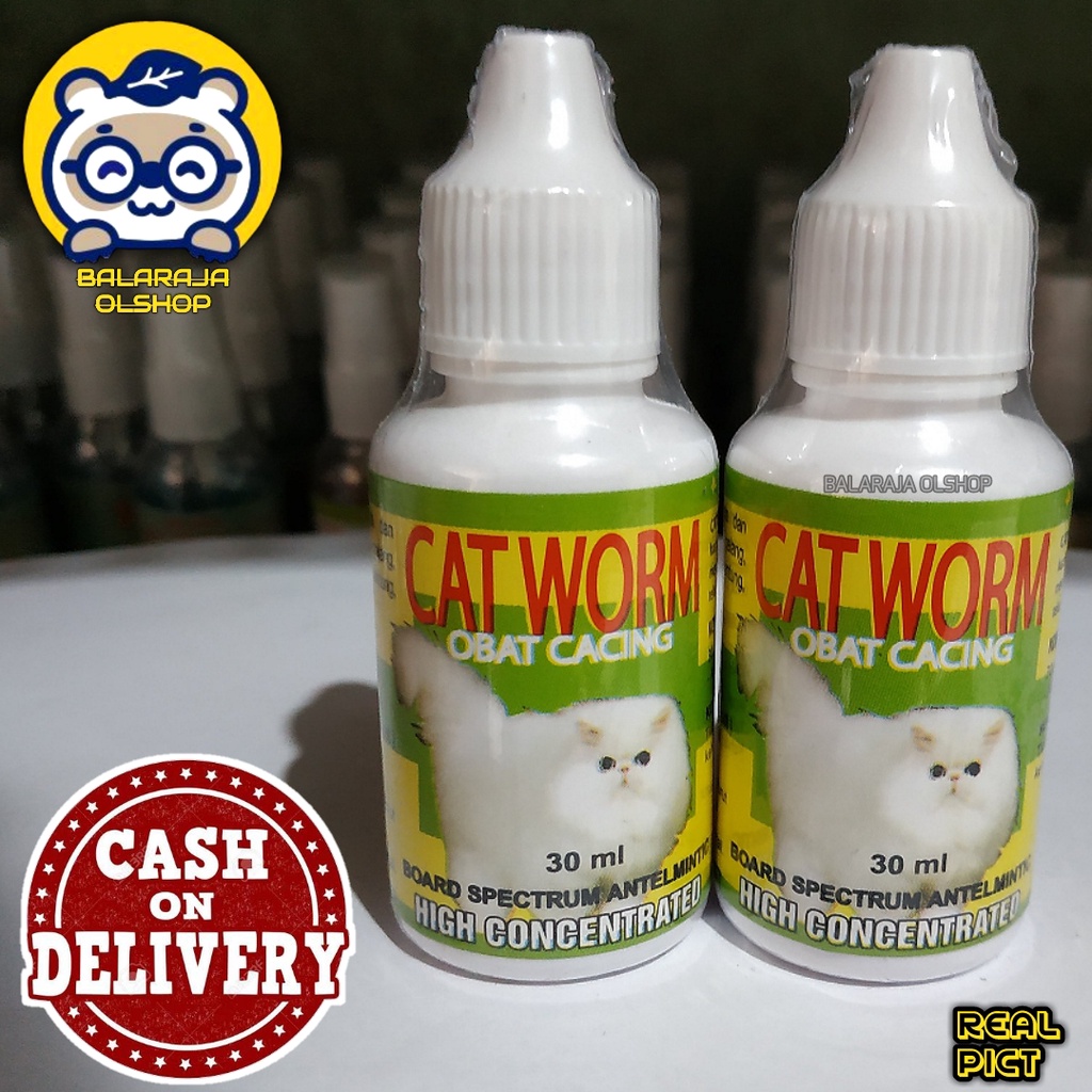 OBAT KUCING/KITTEN CACINGAN AMPUH MEMBASMI CACING PADA KUCING - CATWORM