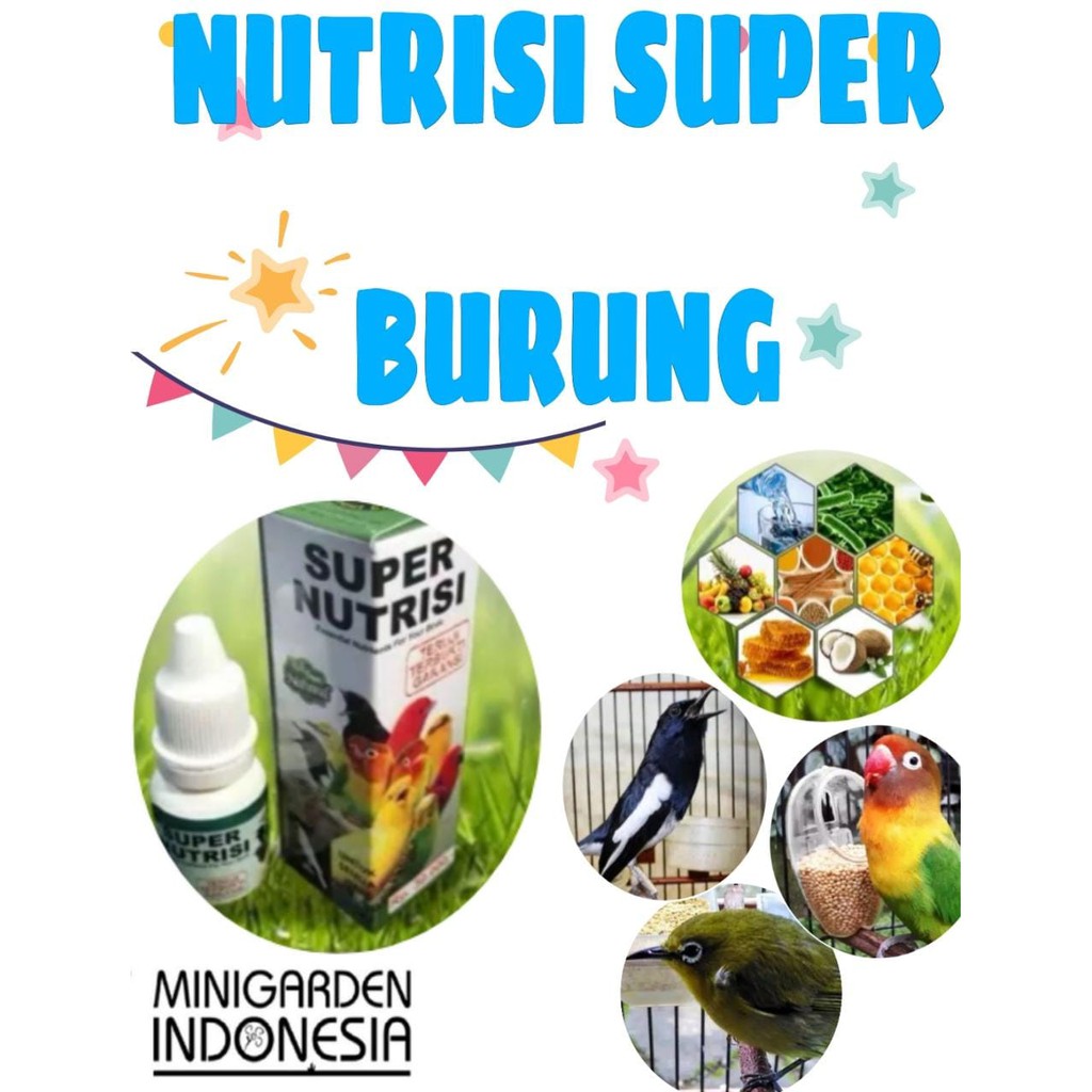 SUPER VITAMIN KEKEBALAN TUBUH BURUNG obat gacor supplement stamina burung asupan gizi lengkap