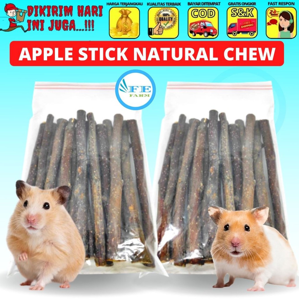 Apple Stick Natural Chew - Perawatan Gigi Kelinci Hamster Chinchilla FEFARM