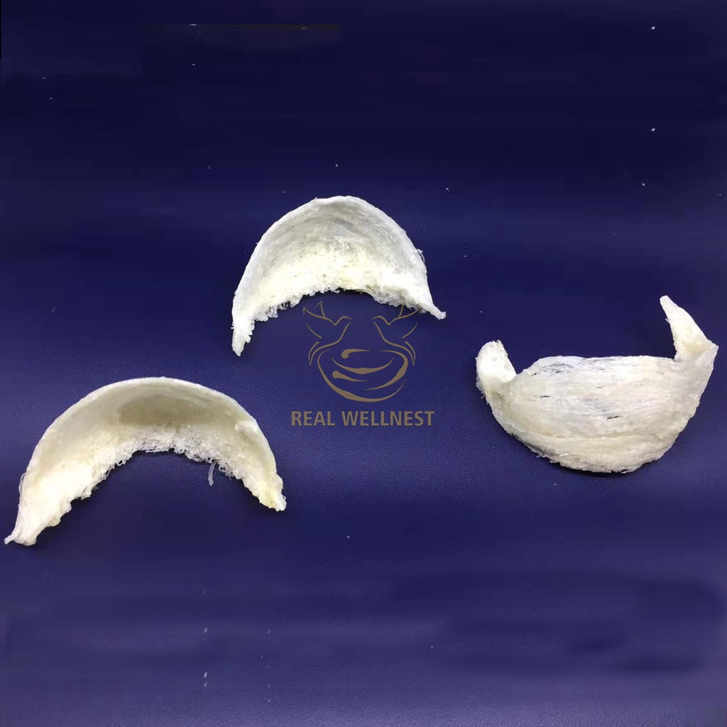 

Bird Nest / Sarang Burung Walet Mangkok Super 1 g Standard Export