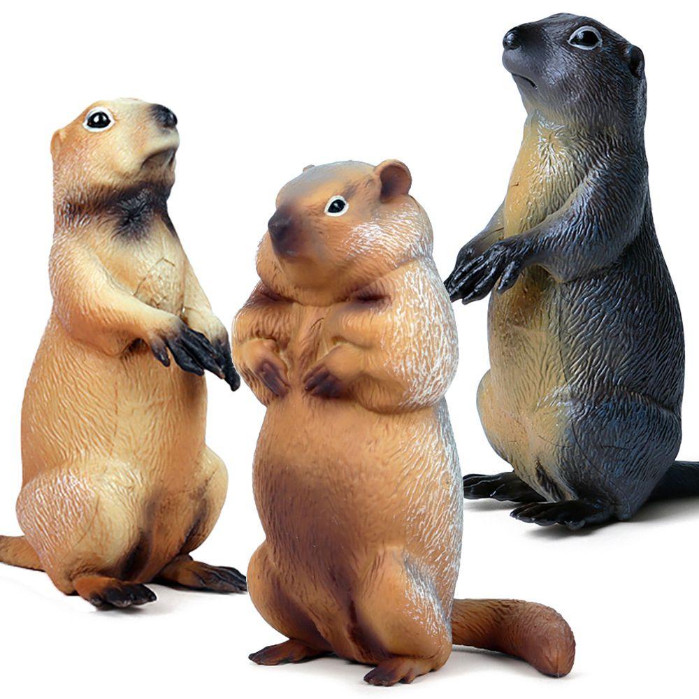 R-flower Mainan Simulasi Marmot Realistis Untuk Edukasi Dini Anak