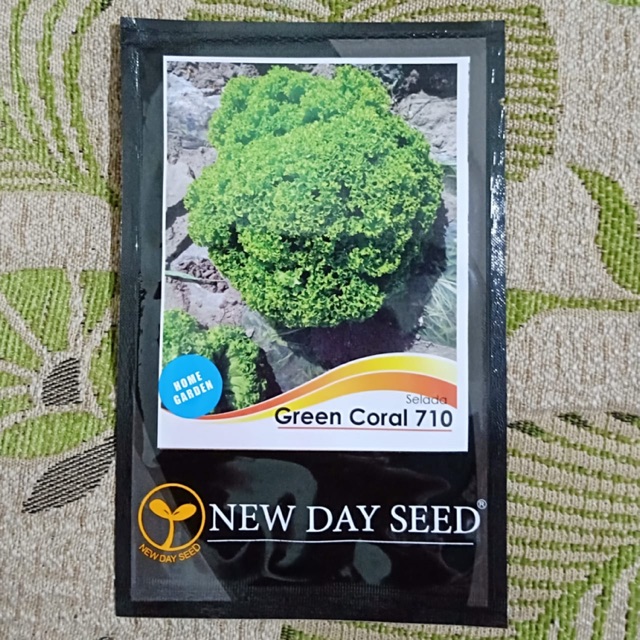 Benih Bibit Selada Green Coral Leaf Lettuce New Day Seed Nds Kemasan Asli