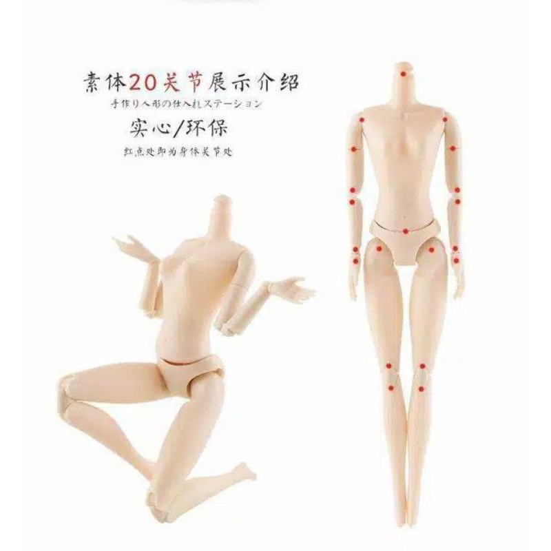 BADAN PIVOTAL / BODY PIVOTAL