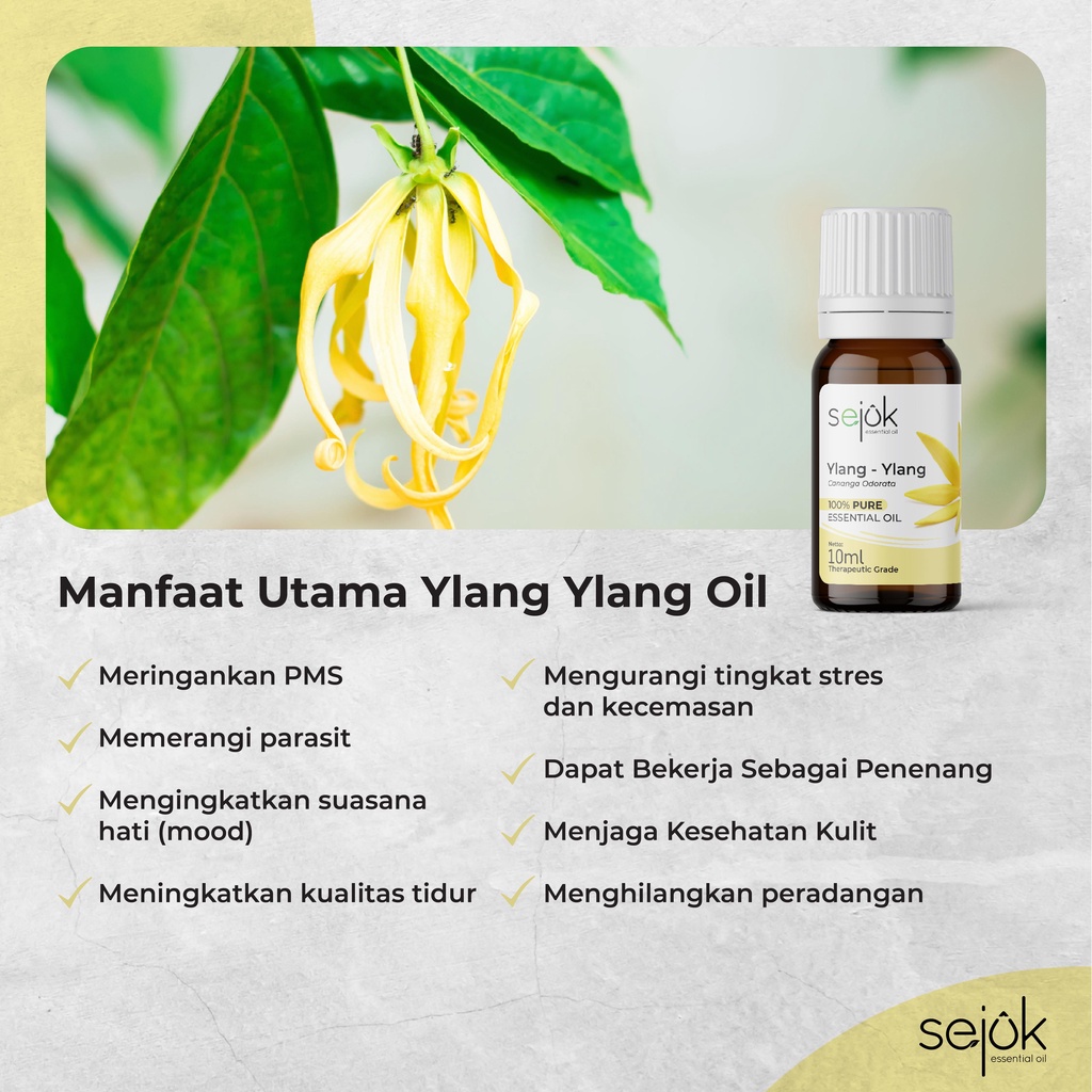 Sejuk Ylang Ylang Essential Oil / Minyak Aromaterapi Pure 100% - 10 ml