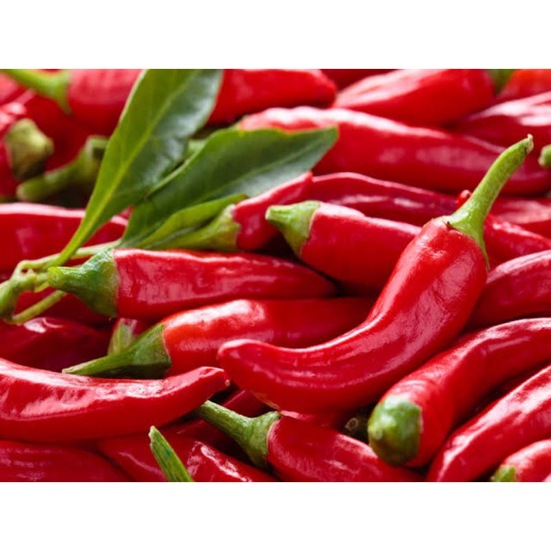 

Cabai Merah Besar Fresh