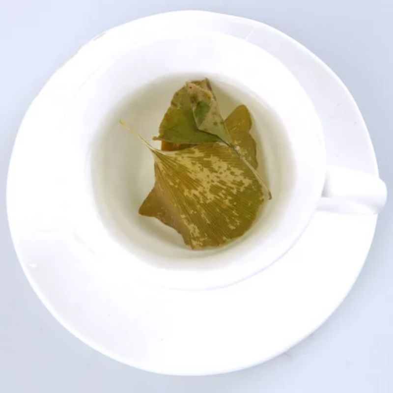 Ginkgo Leaf Tea / Premium Dried Ginkgo Leaf Tea - 500 Gram