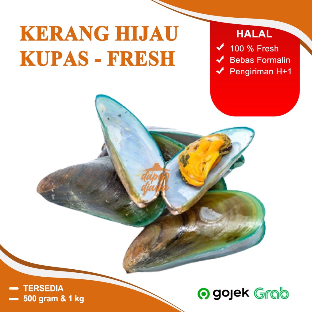 

KERANG HIJAU IJO SEGAR FRESH 250 GRAM 500GR 1/2 KG 1KG FRESH BESAR