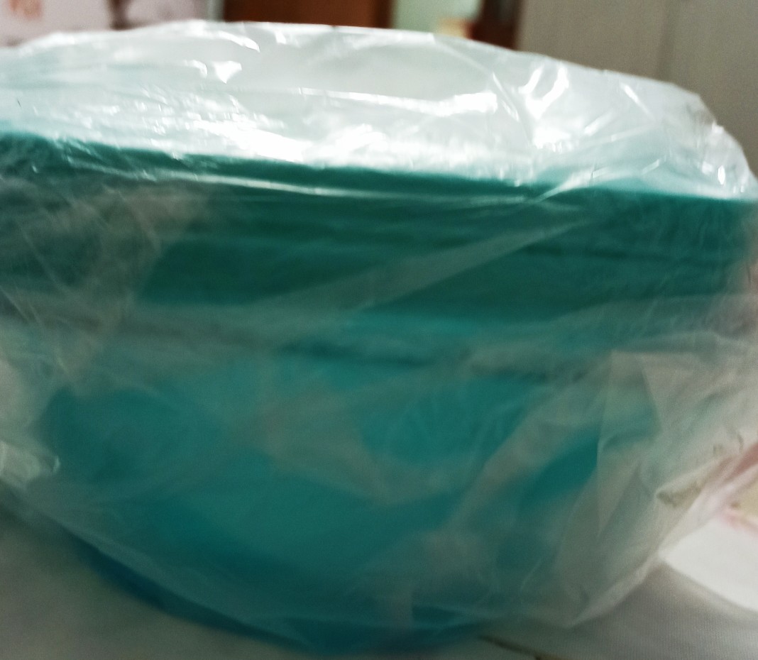 Clear Bowl Biru 2 Pcs Wadah Kue