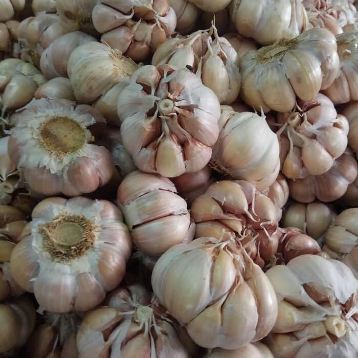 

Bawang Putih bersih berkualitas 500G Baput bagus Medan