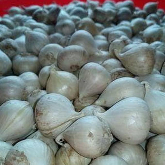 

Bawang Putih Tunggal 500 gram