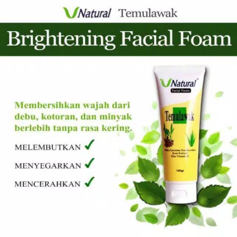 V NATURAL Brightening Facial Foam Temulawak 100gr/Sabun Wajah