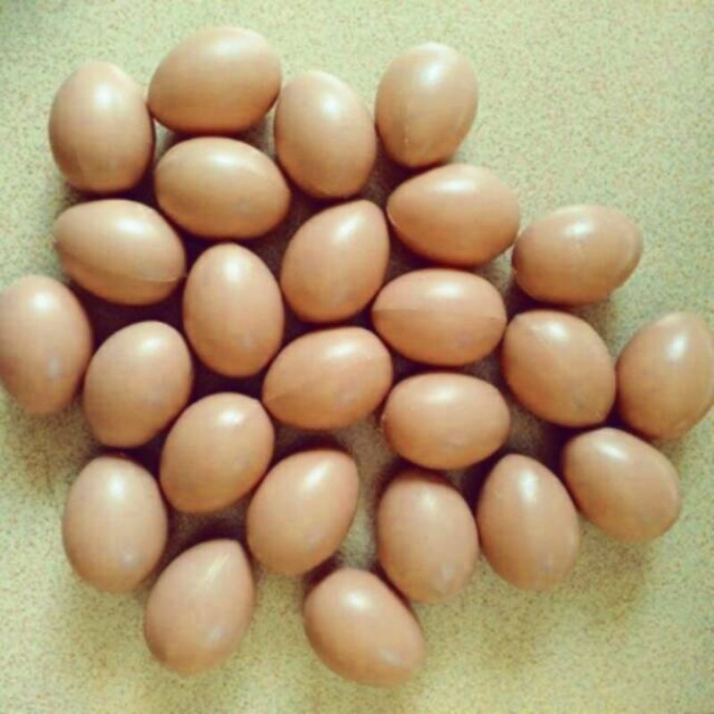 Mainan telur ayam / mainan anak / telur palsu / telur mainan
