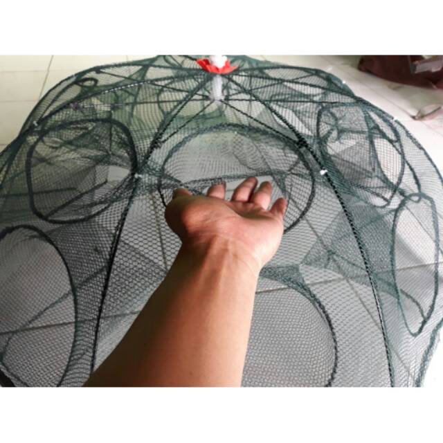 Bubu payung 8 lubang murah