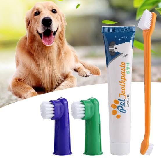 4 in 1 Set Sikat Gigi dan Odol Anjing Kucing Dog Tooth Brush and Paste FEFARM