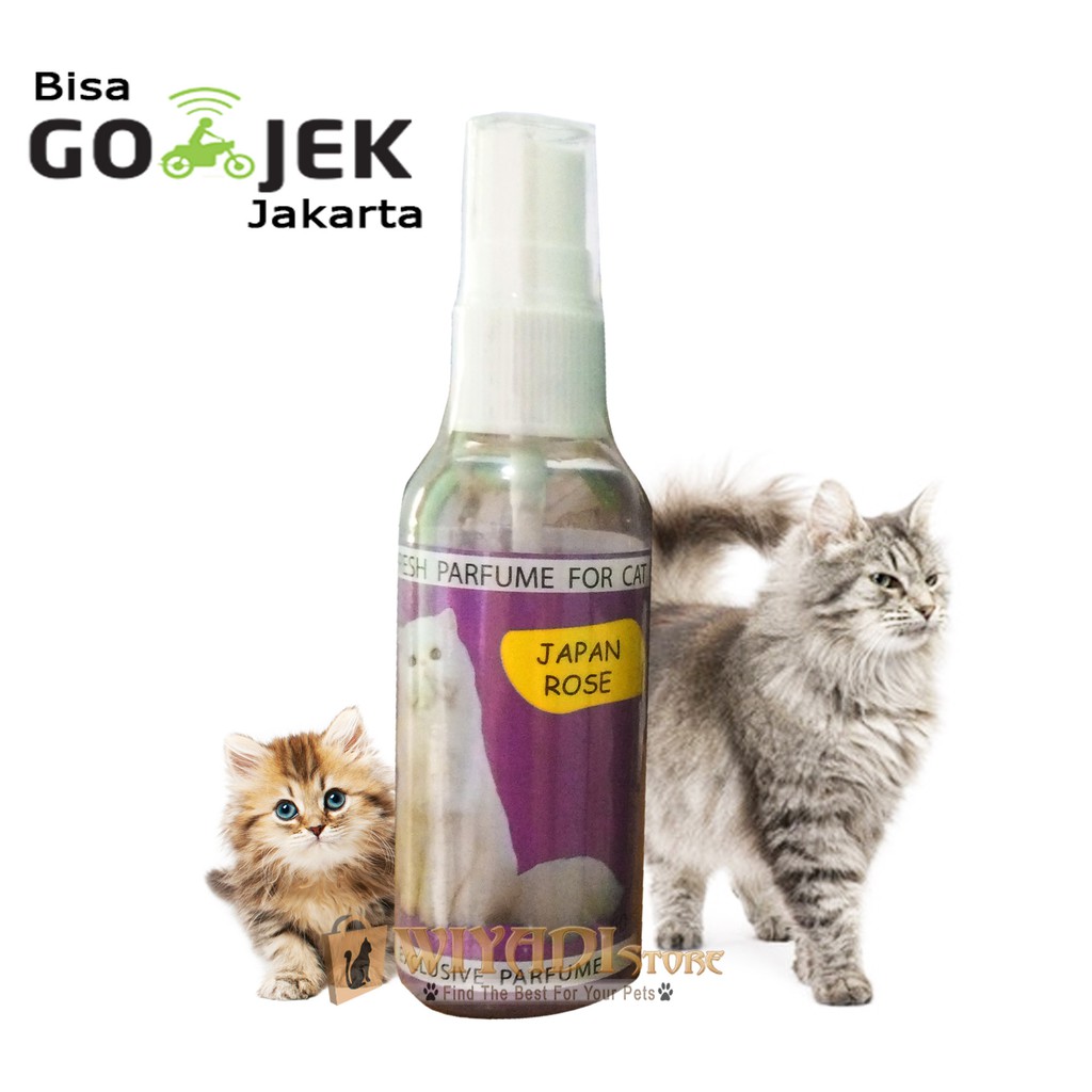 Paris Parfum Spray Minyak Wangi Parfume Kucing kitten