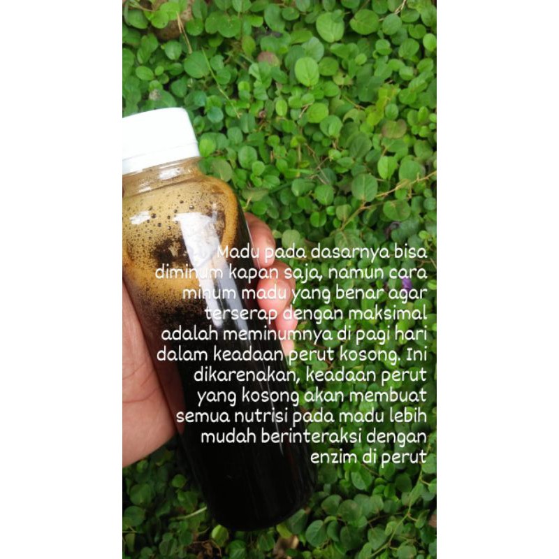 

MADU HITAM SUMATRA BERKHASIAT 330ML