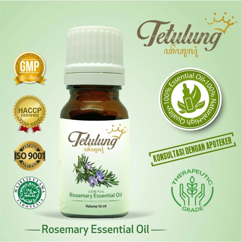 Rosemary Essential Oil Murni 100% GRATIS TEH REMPAH