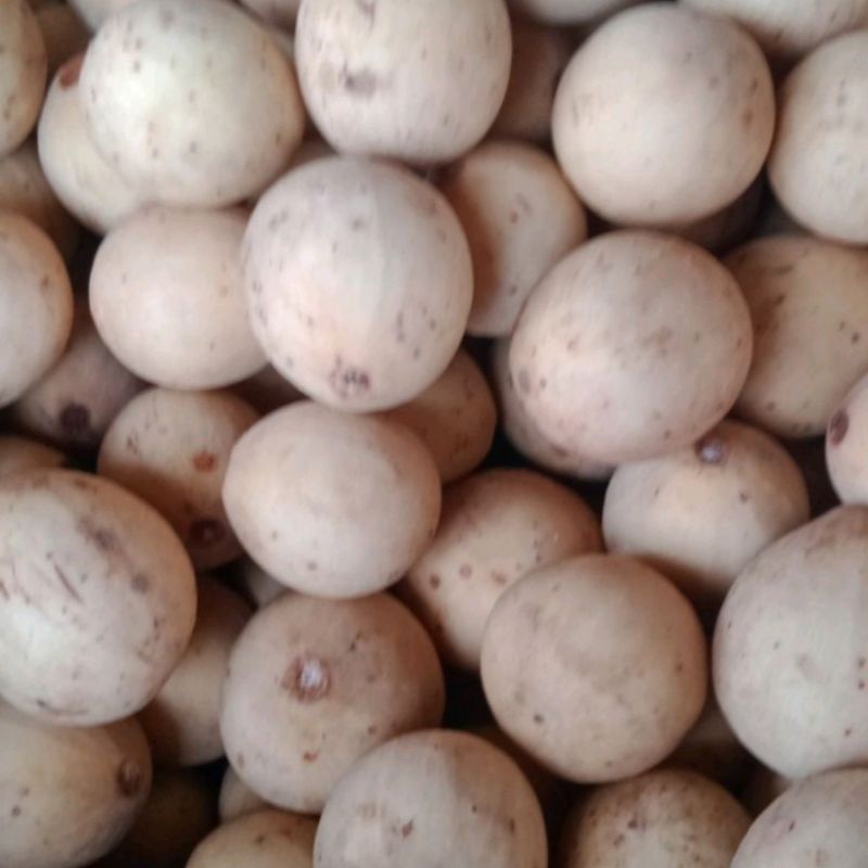 Buah Duku 1 kg