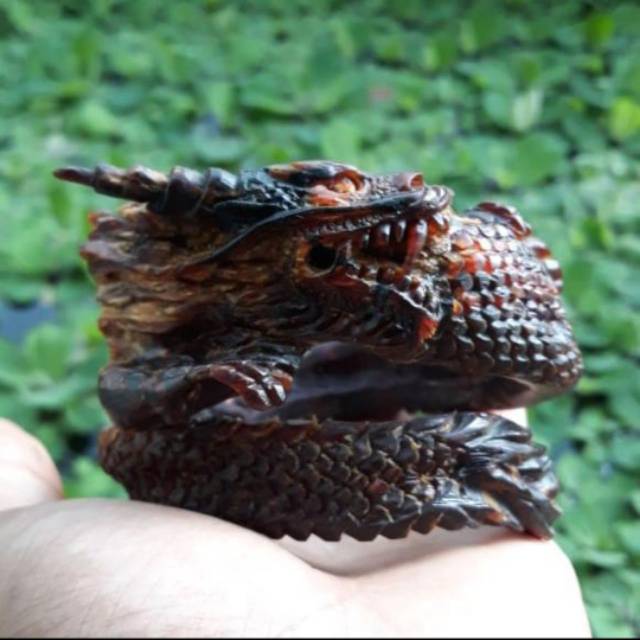 Akar Bahar merah ukir naga